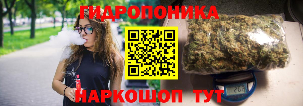 Орск  Шишки марихуана план  Вход с VPN  Бошки марихуана индика  Конопля Bruce Banner 